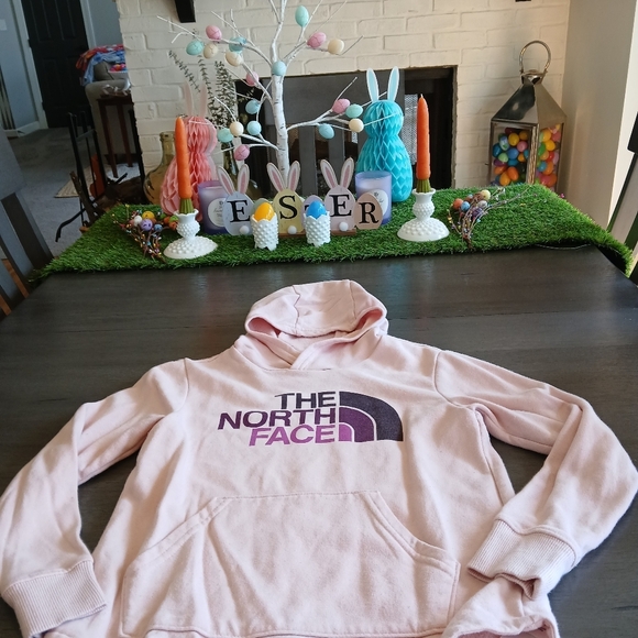 North Face Hoodie Girls XL Good Used Condition - Picture 3 of 4